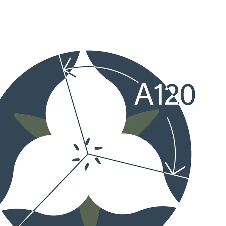ASPECT 120 LANDSCAPE ARCHITECTURE PC logo