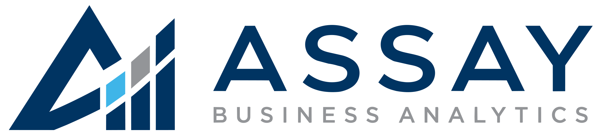 ASSAY BUSINESS ANALYTICS CONSULTING LLC logo