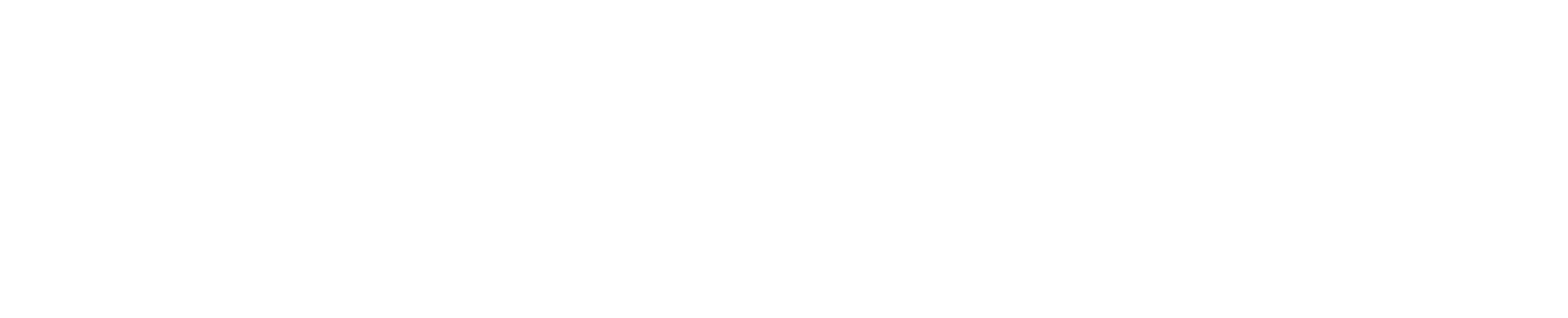 ASTRON SYSTEMS LTD logo
