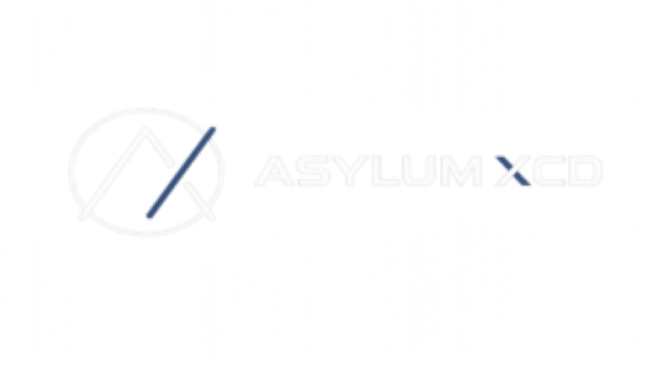 ASYLUM X CYBERSECURITY DIVISON INC logo