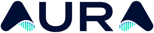 AURA NETWORK SYSTEMS INC logo