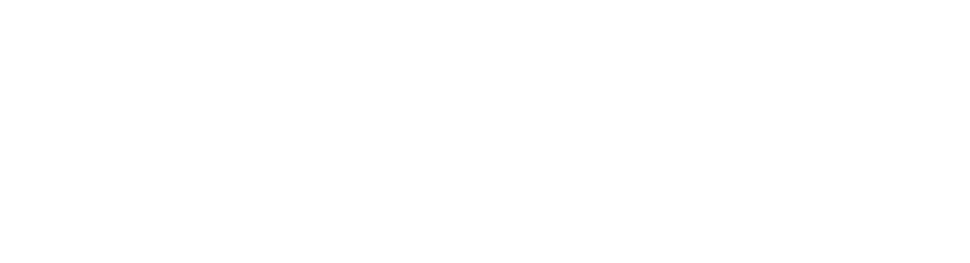 AVAILABLE NETWORKS logo