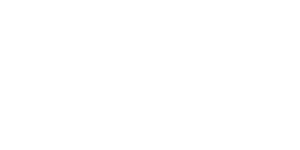 AVANT logo