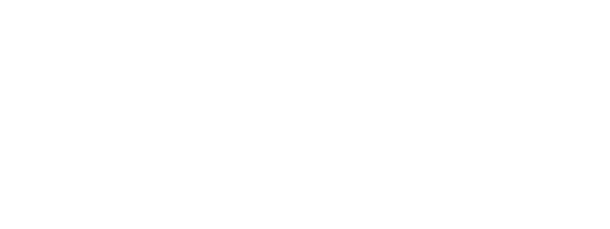 AVARN MANNED SECURITY logo
