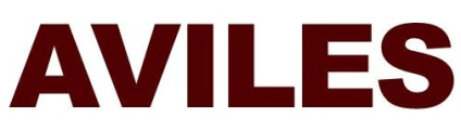 AVILES ENGINEERING CORP logo