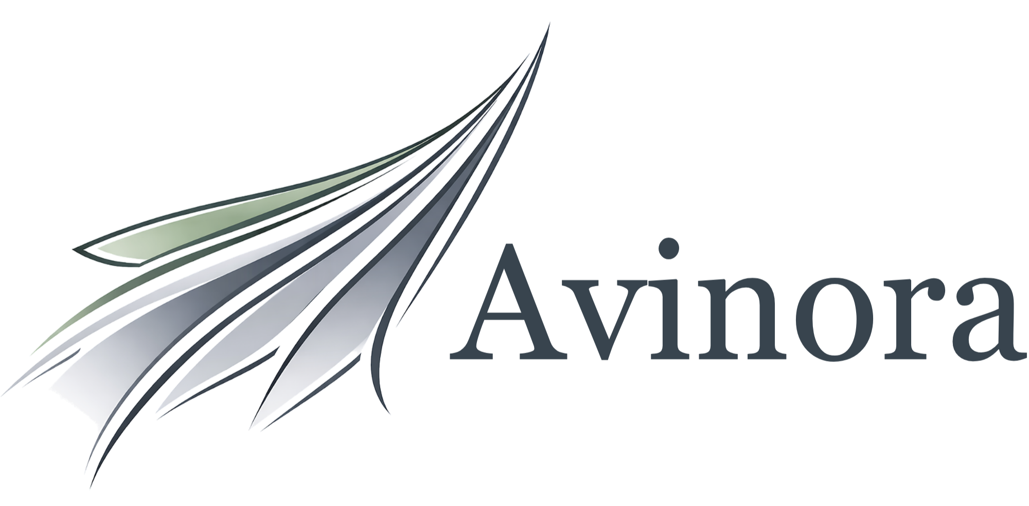 AVINORA LLC logo