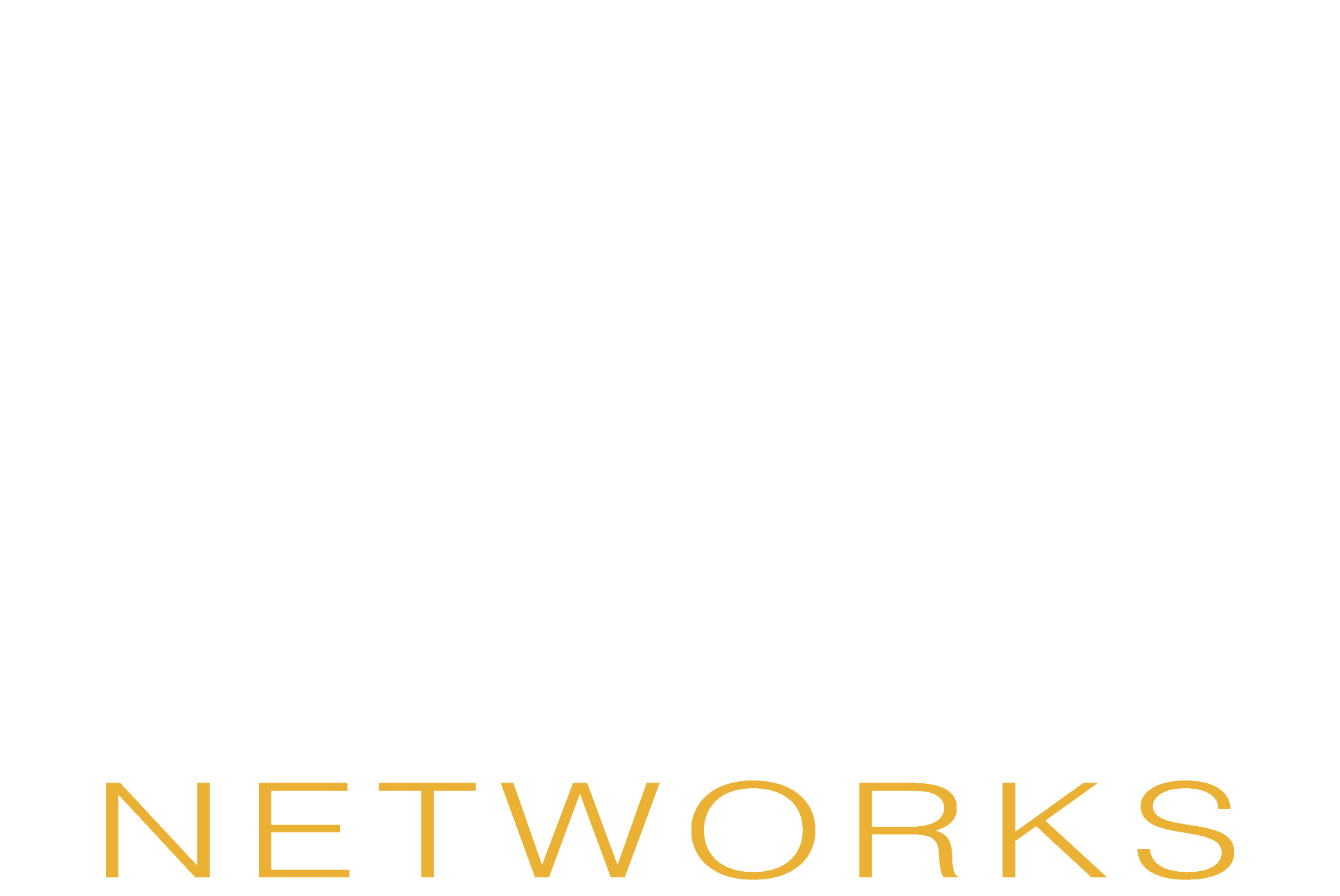 AVION NETWORKS INC logo
