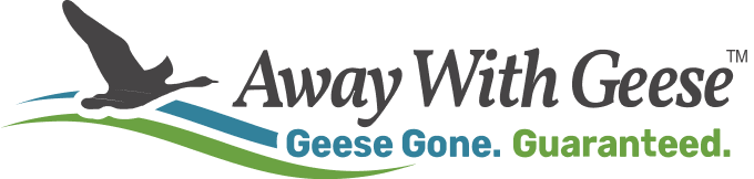 AWAY WITH GEESE logo