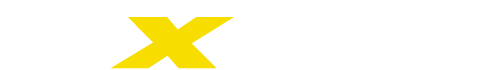 AXNES INC logo
