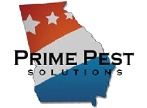 B & G SERVICE SOLUTIONS, INC. logo