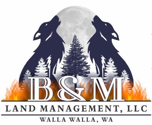 B & M LAND MANAGEMENT LLC logo