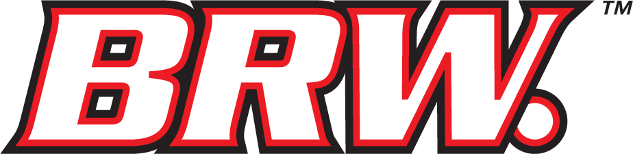 B. R. WILLIAMS LOGISTICS, LLC logo