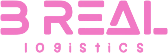 B REAL LOGISTICS, LLC logo