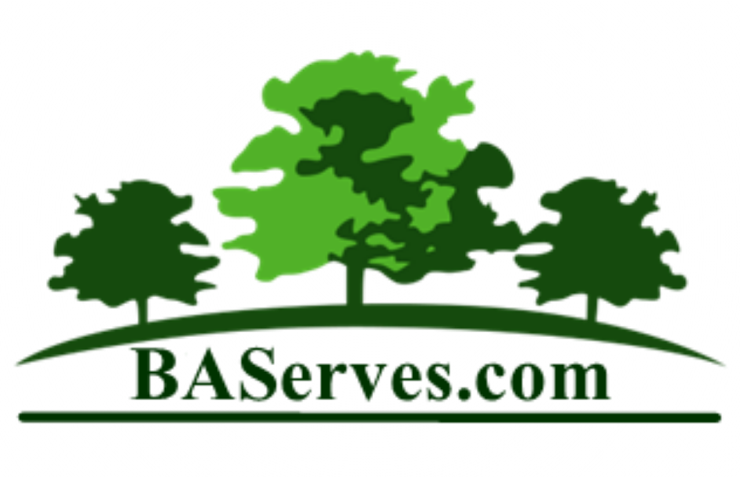 BA SERVICES INC logo