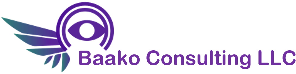 BAAKO CONSULTING, LLC logo