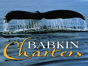 BABKIN CHARTERS LLC logo