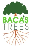 BACA'S TREES, INC. logo