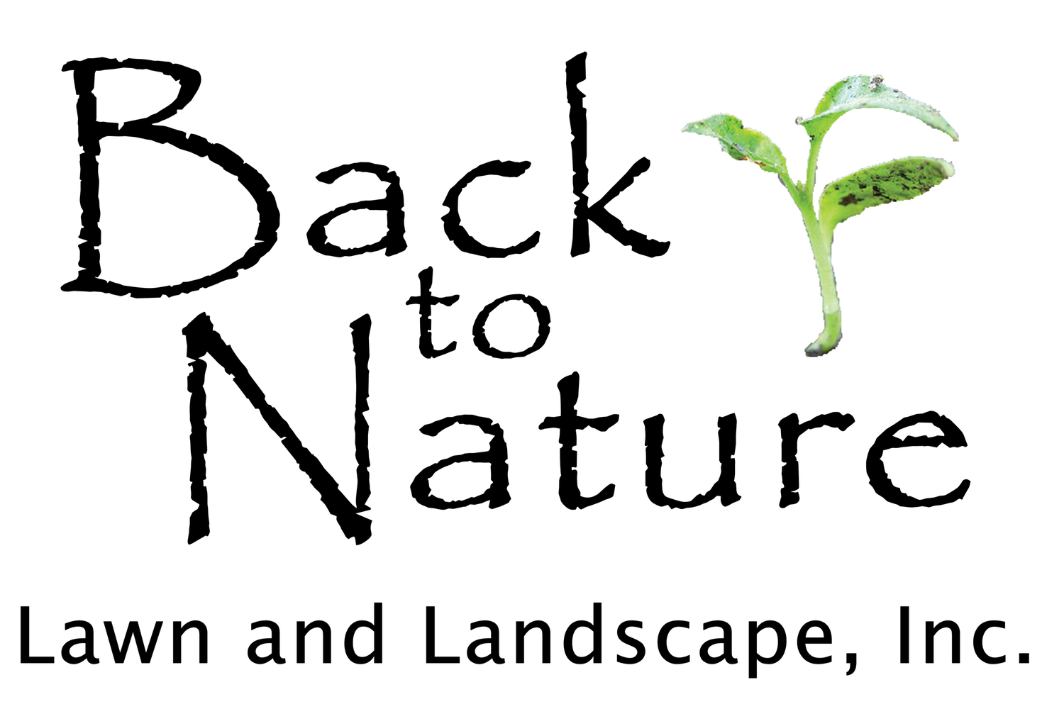 BACK TO NATURE LAWN & LANDSCAPE INC logo