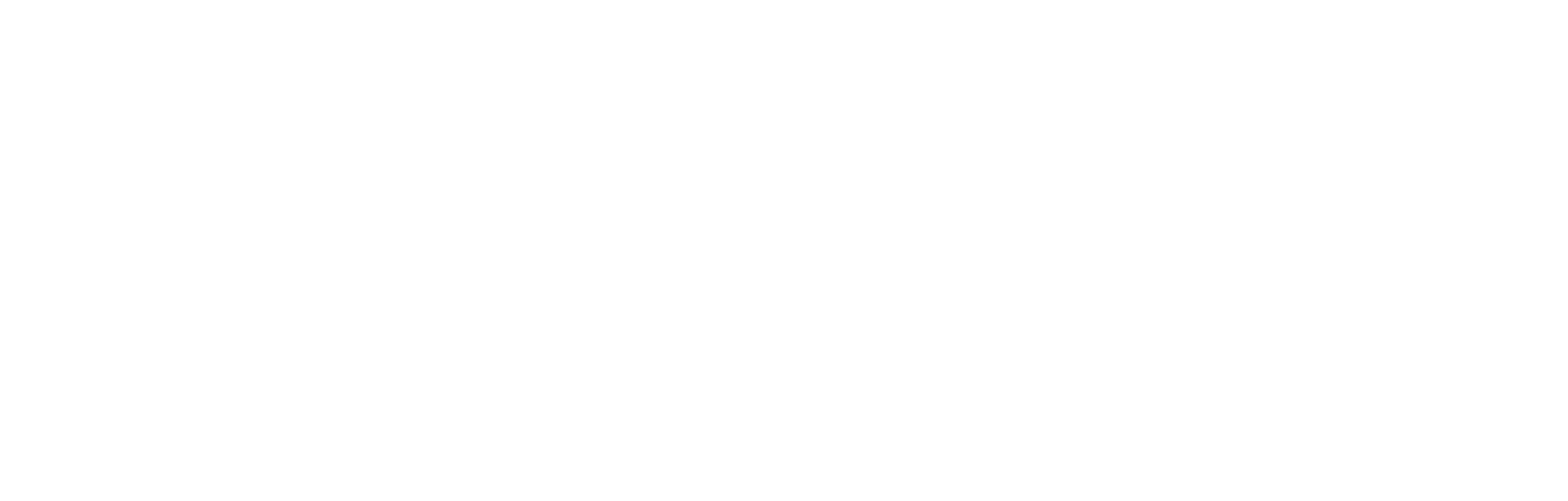 BAFFE LLC logo