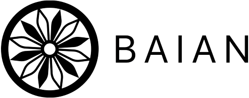 BAIAN LLC logo