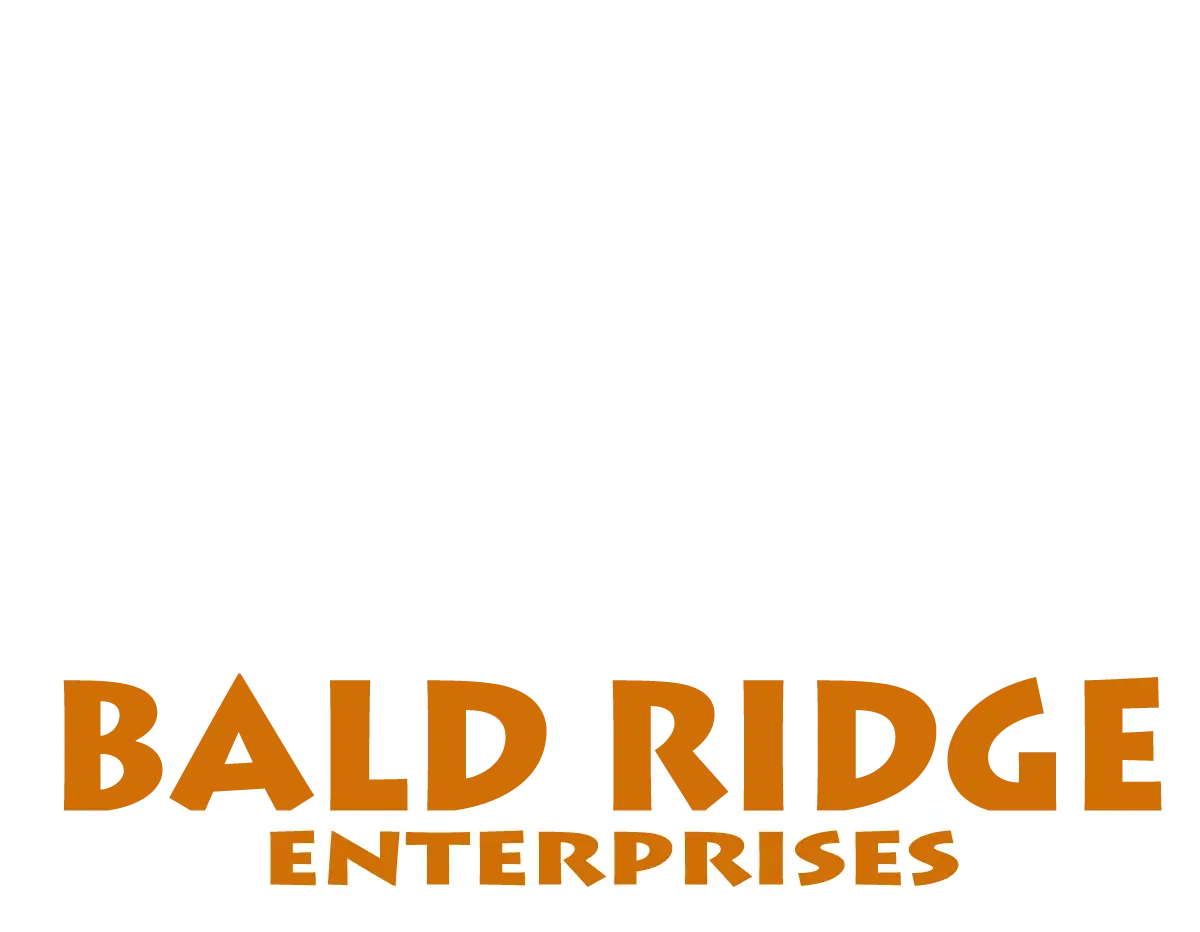 BALD RIDGE ENTERPRISES, LLC logo