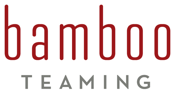 BAMBOO TEAMING logo