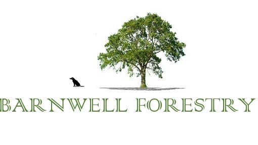 BARNWELL FORESTRY LLC logo
