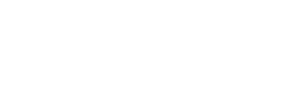 BARQUIN SOLUTIONS, LLC logo