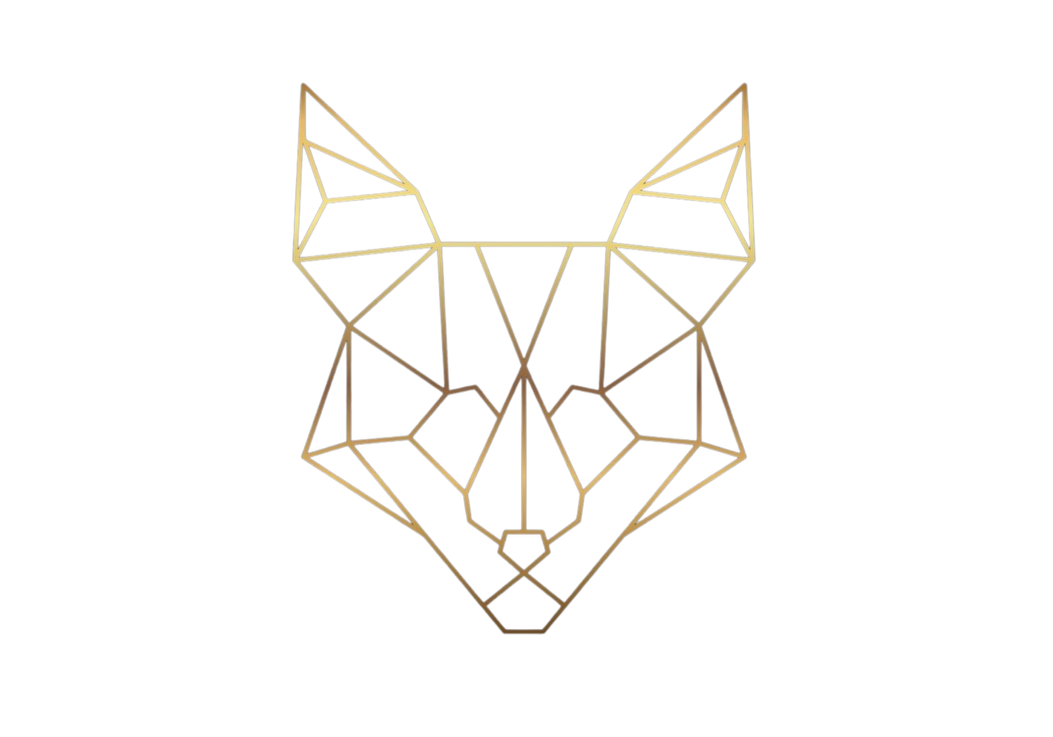 BARRENFOX LLC logo