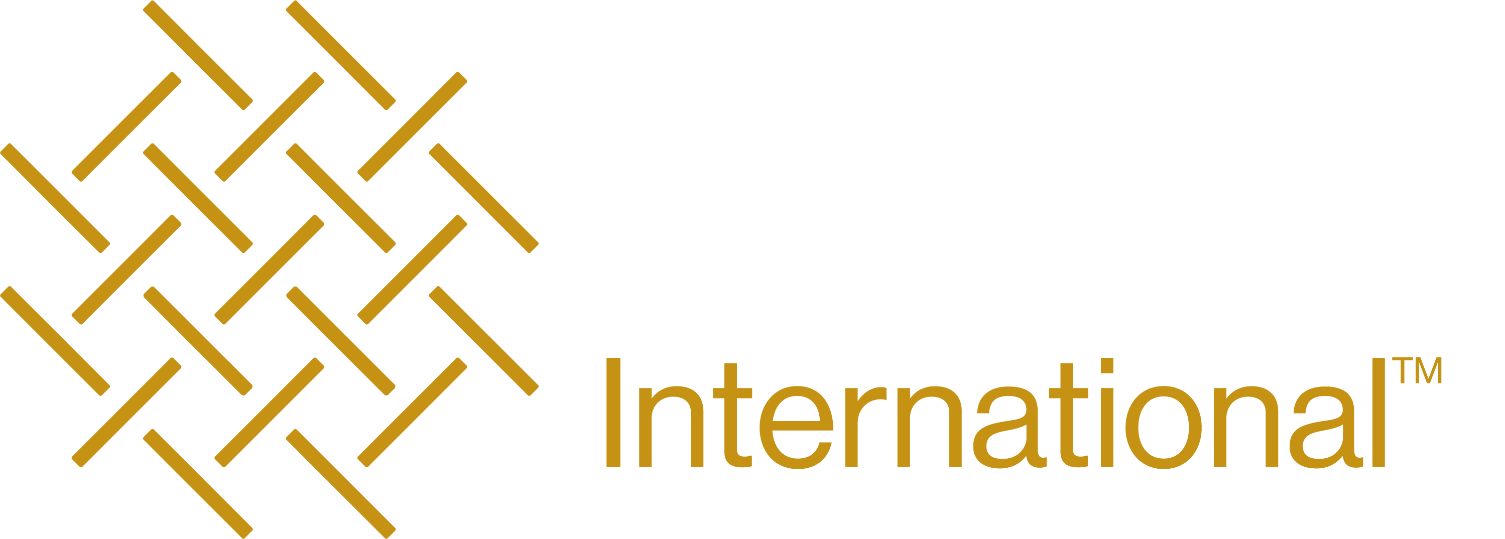 BASALT INTERNATIONAL INC logo