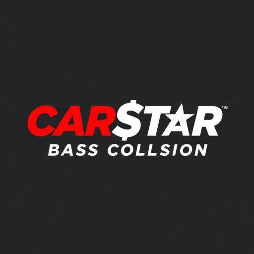 BASS COLLISION INC logo
