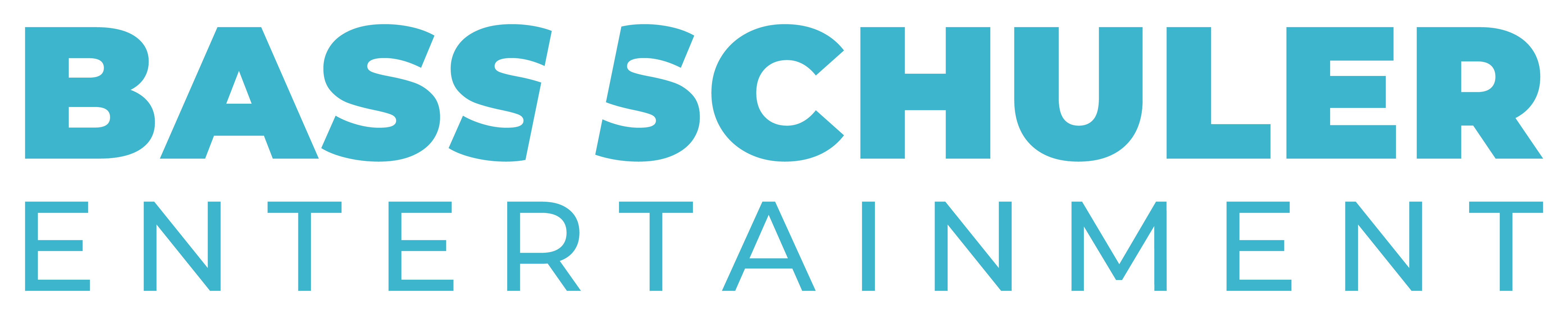 BASS SCHULER ENTERTAINMENT INC logo