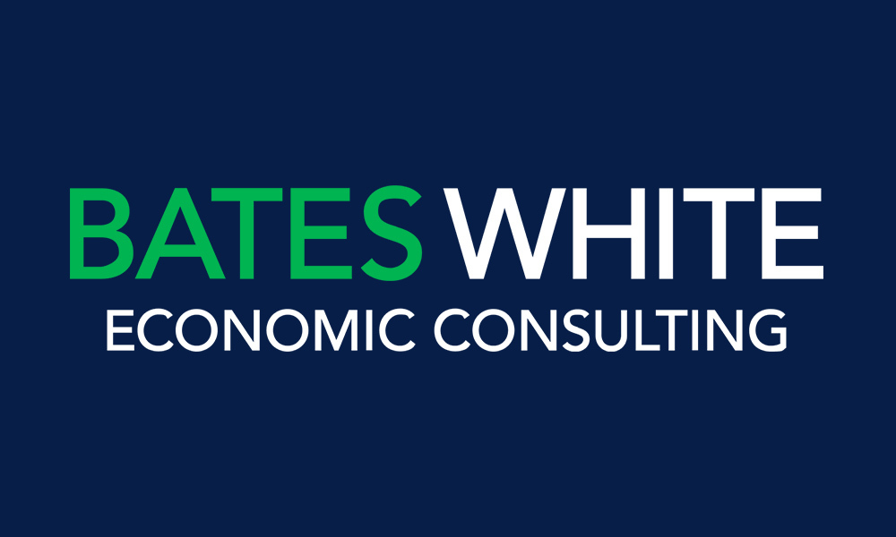 BATES WHITE, LLC logo