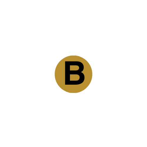 BATTLE BOUND BRANDING LLC logo