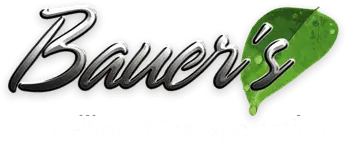 BAUERS INTELLIGENT TRANSPORTATION INC logo
