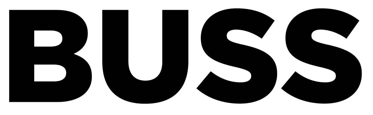 BAUMGARTNER URBAN SYSTEMS STRATEGY LLC logo