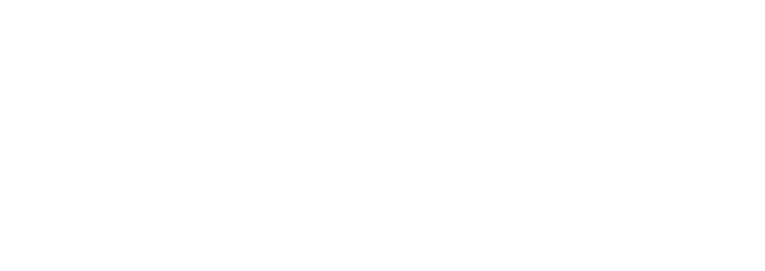 BAUMHOLDER G&G LLC logo