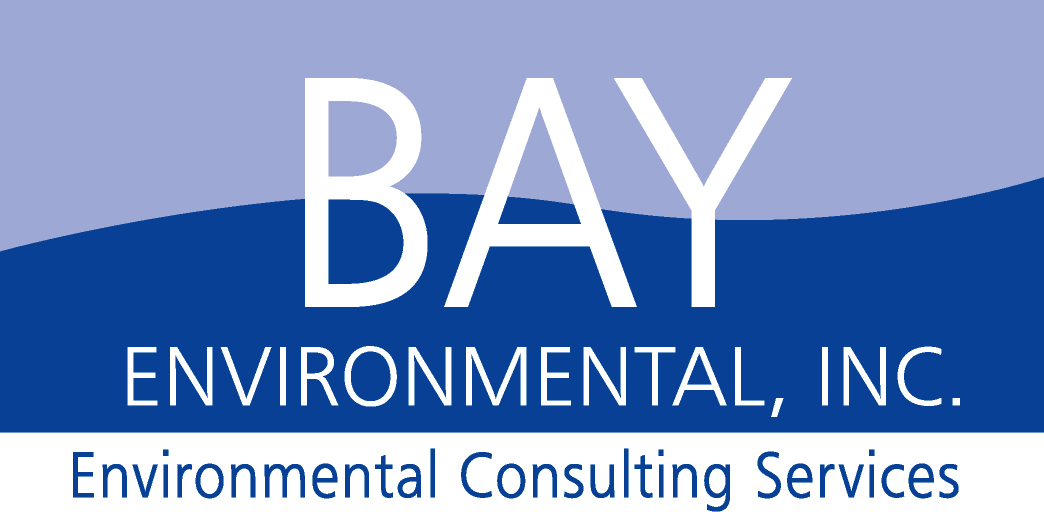 BAY ENVIRONMENTAL INC logo