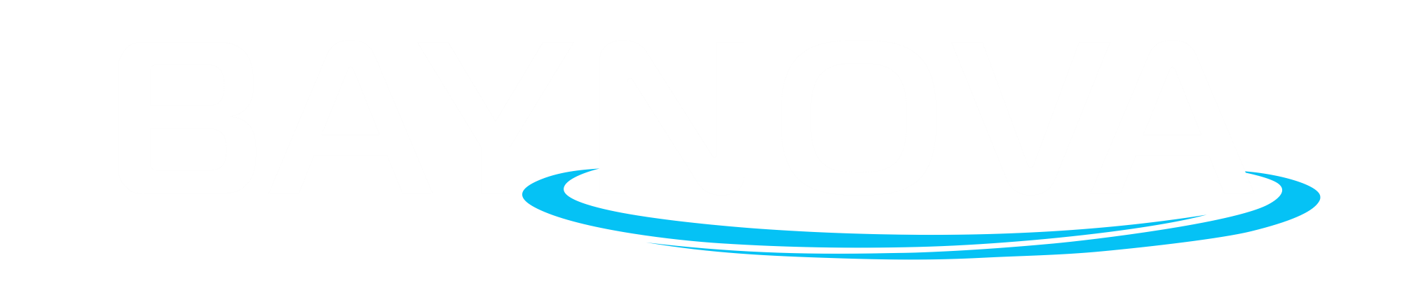 BAYNOVA LLC logo
