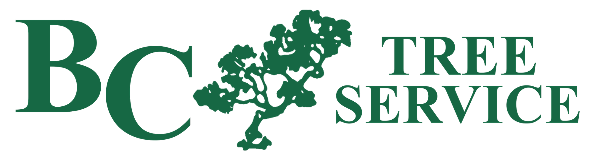 BC TREE SERVICE logo