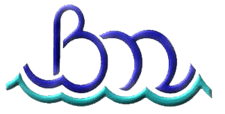 BEACON MARINE, INC logo
