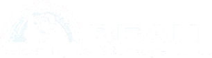 BEAN MOVING & STORAGE INC logo