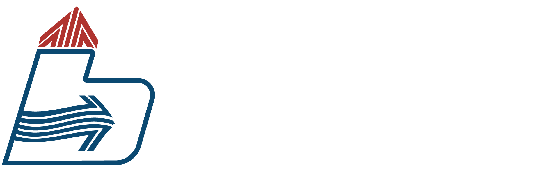 BEHRMANN CO logo