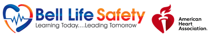 BELL LIFE SAFETY LLC logo