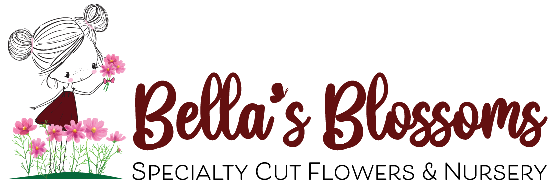 BELLA'S BLOSSOMS LLC logo