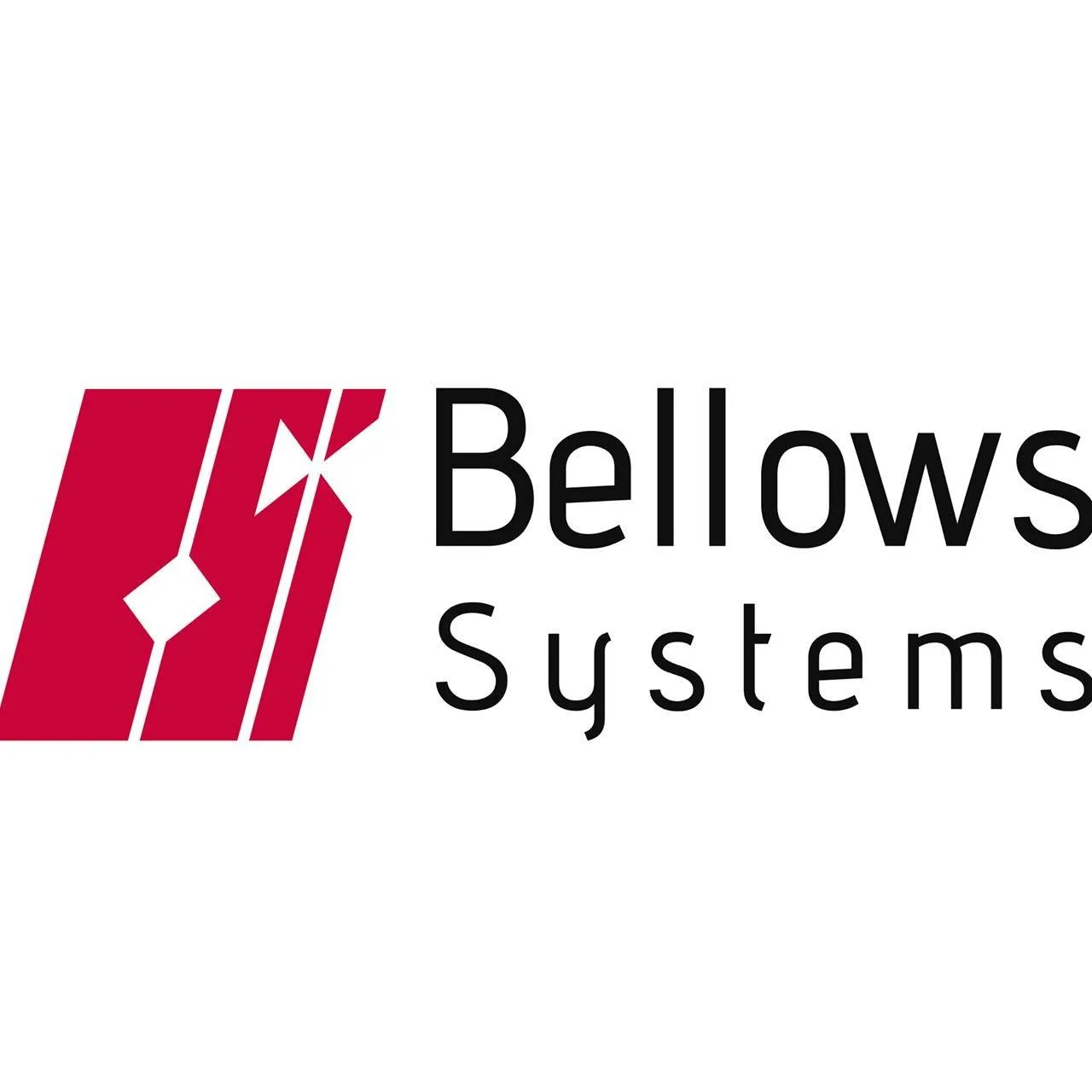 BELLOWS SYSTEMS INC logo