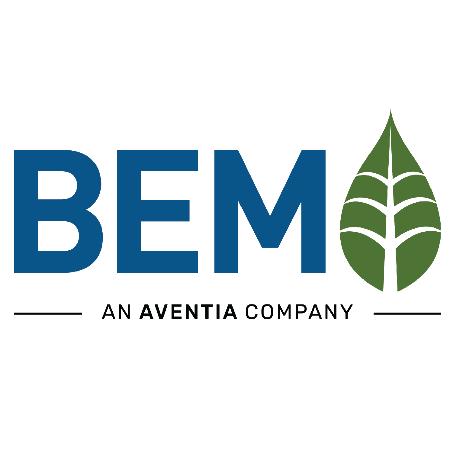 BEM SYSTEMS, INC. logo