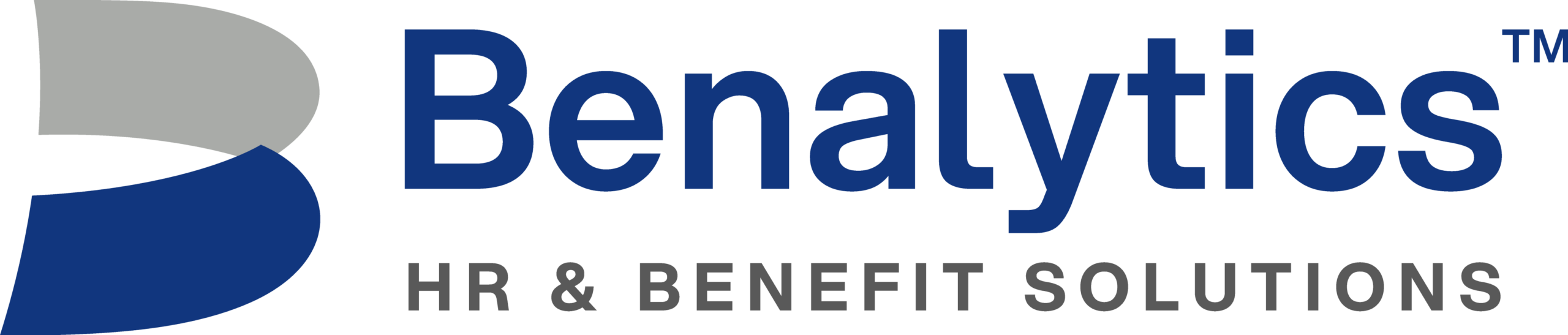 BENALYTICS CONSULTING GROUP LLC logo