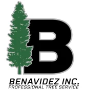 BENAVIDEZ, INC logo
