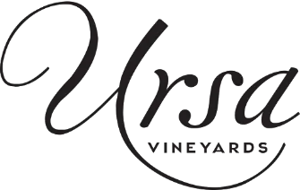 BENDING BRANCH ESTATE VINEYARD, LLC logo